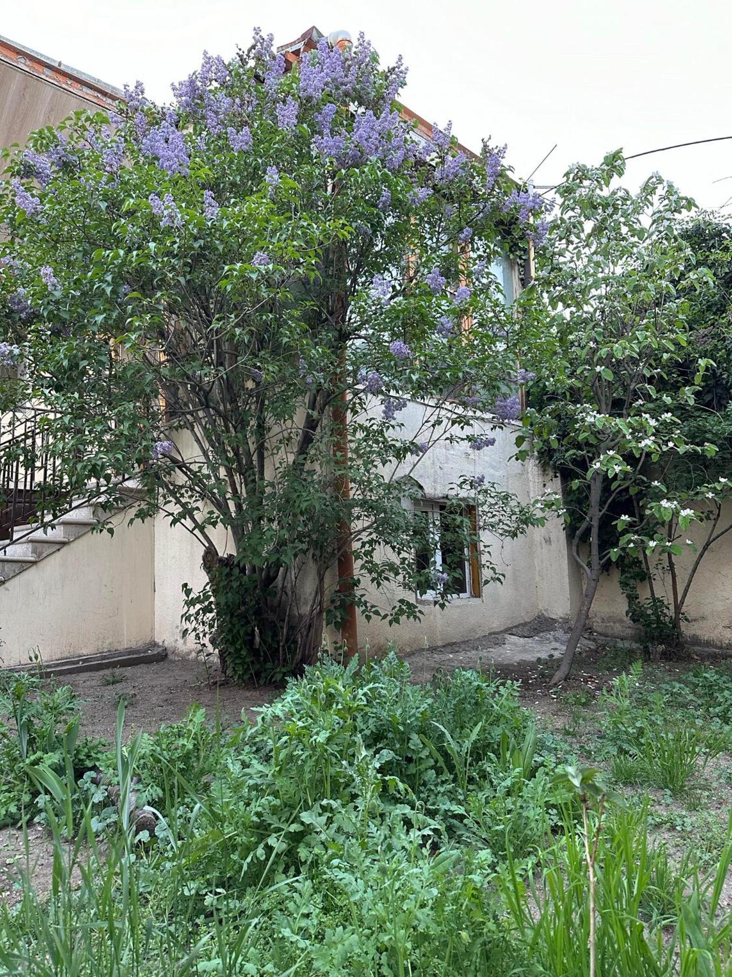 Popock City Center Jerevan Eksteriør bilde