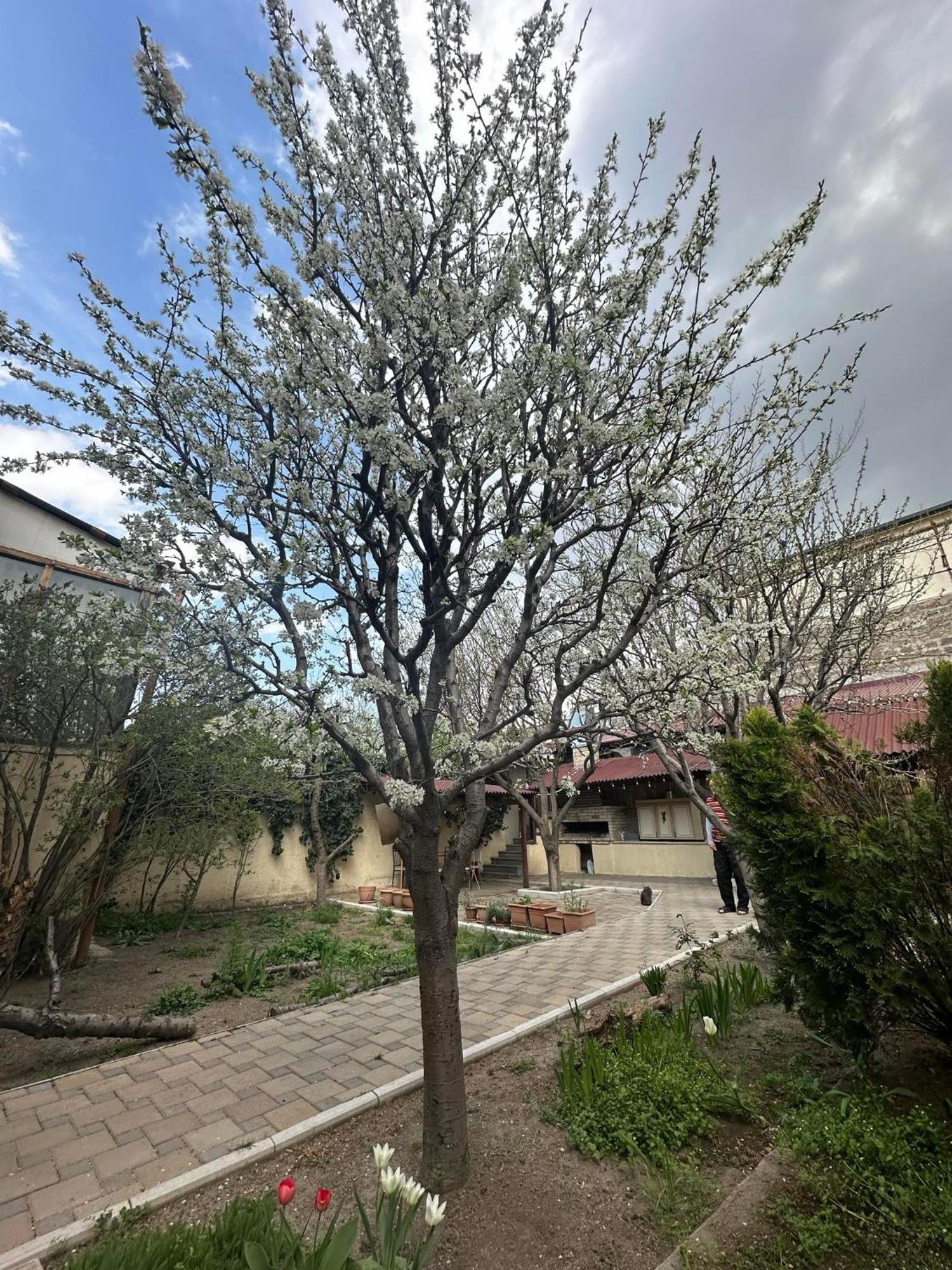 Popock City Center Jerevan Eksteriør bilde